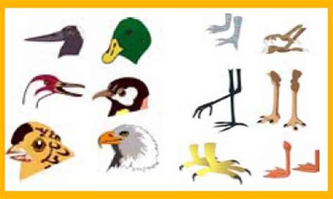 25 daftar gambar halaman 1 morfologi tungau berbagai spesies cicak di indonesia bagian tubuh cicak tempat. Gambar Laporan Kecoa Documents Gambar 2 1 Periplaneta ...