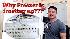 REFRIGERATOR REPAIR-FREEZER COILS FROZEN-CHILLER IS WARM #lgfridge #freezerfrost #freezerrepair