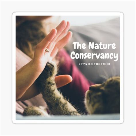The Nature Conservancy Sticker For Sale By Yvooneyu Redbubble