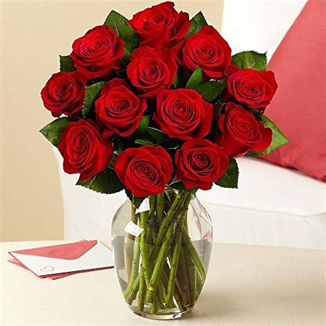 Valentines Day Rose Elegance Premium Long Stem Red