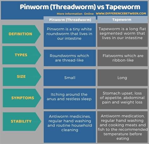 Difference Between Pinworm Threadworm And Tapeworm Compare The Difference Between Similar Terms