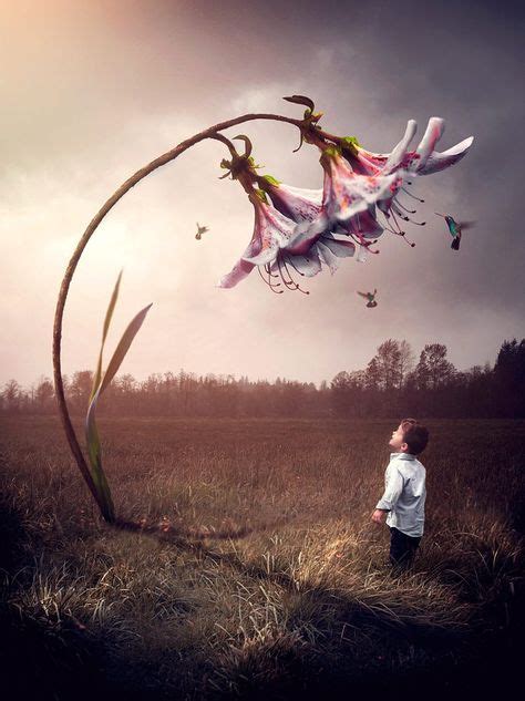 Little Explorer By Gabe Tomoiaga On 500px Surrealism Photography