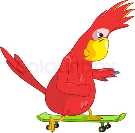 Funny Parrot Skateboarding Stock Vector Colourbox