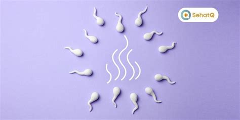 Seperti Apa Bau Sperma Yang Sehat Keluarga Sehat Bahagia