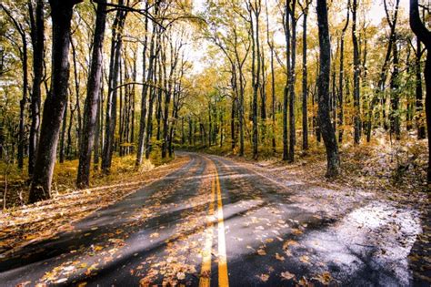 Beautiful Landscape Colorful Autumn Forest With Asphalt Road And Trucks