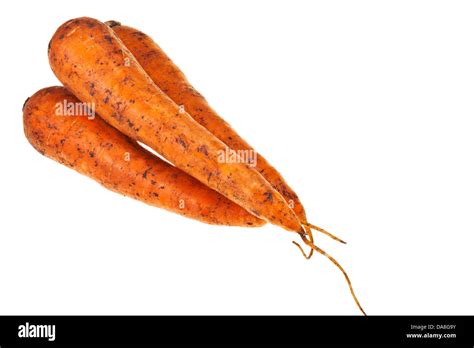 Few Fresh Orange Carrots Isolated On White Background Stock Photo Alamy