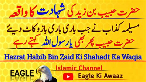 Hazrat Habib Bin Zaid Ki Shahadat Ka Waqia Islamic Stories By Eagle