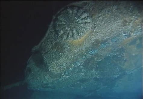Yamato Battleship Wreck In Pictures Rebellion Research