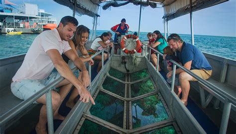 Glass Bottom Boats Tours Of The Reef Cairns And Great Barrier Reef