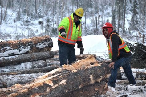 Ontario Releases Final Forest Sector Strategy Including 845m To