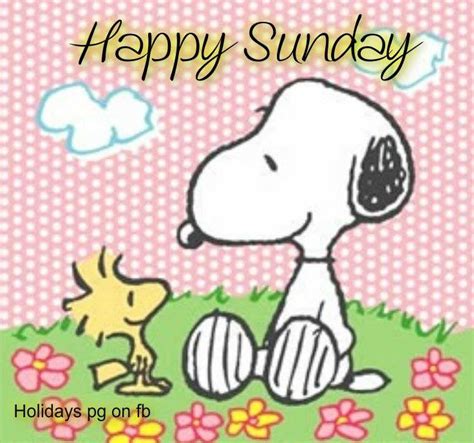 Happy Sunday Peanuts Gangsnoopy And Woodstock Snoopy Love Snoopy