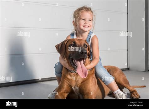 Happy Cute Girl Looking Away While Sitting On Dog Outdoors Stock Photo