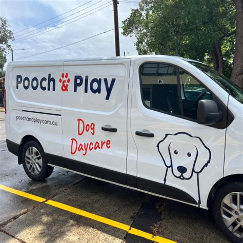 Dog Taxi Service Caringbah Area Pooch And Play