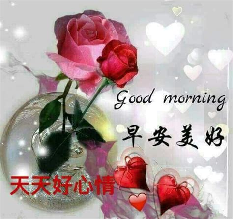 Pin On Good Morning Wishes In Chinese