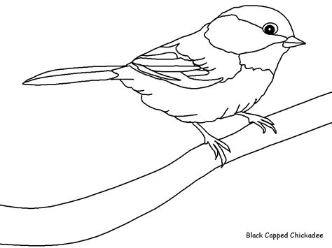 Illustrations, cliparts, dessins animés et. coloriage d'oiseau sur un arbre