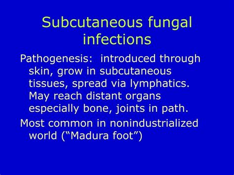 Ppt Fungal Infections Powerpoint Presentation Id554303