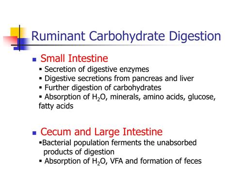 Ppt Carbohydrate Digestion Powerpoint Presentation Free Download