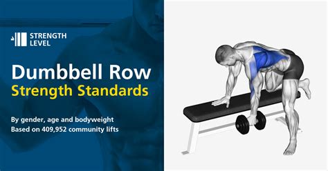 Dumbbell Row Standards For Men And Women Lb Strength Level