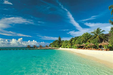 Destinations male, dhiggaru, felidhoo, fulidhoo age range 14 to 85 year olds travel style private, group, fully guided, christmas & new year +2 more operated in english operator explore! Maldive - Seaclub Maayafushi