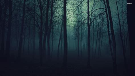 Dark forest | Forest background, Dark forest, Forest wallpaper