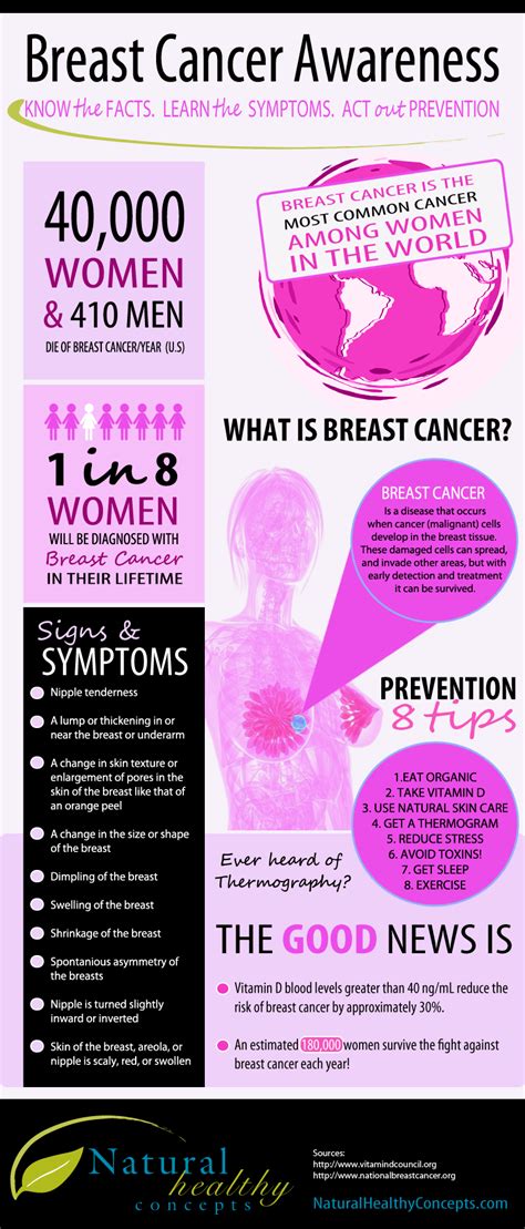 Breast Cancer Stage 3 Survival Integradas En Salud