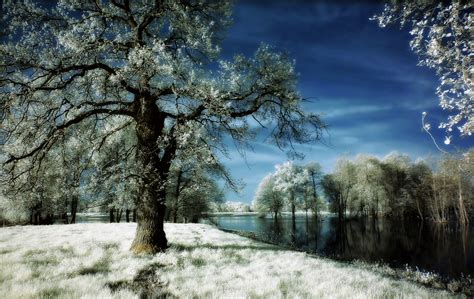 Bakgrundsbilder Solljus Landskap Skog Vatten Natur Reflexion