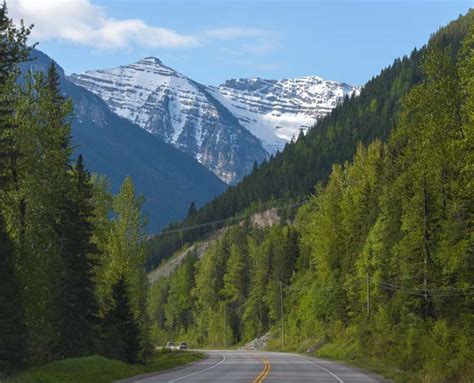 Canadian Rockies Big Mountains And Bighorn Sheep Roads