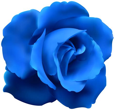 Free Blue Rose Cliparts Download Free Blue Rose Cliparts Png Images Free Cliparts On Clipart