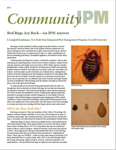 If it can be proved that the pests are in the property as a result of the tenant's actions, then responsibility to deal with the infestation landlords are also responsible for making repairs that have been caused by the pests. MMPC Resources: Bed bug facts, how to get rid of insects ...