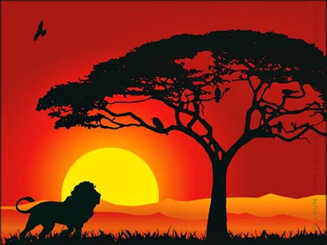 Beautiful Sunset In Jungle By Fahad8702 On Deviantart Lion King Art