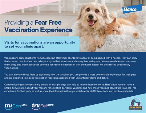 Providing a Fear Free Vaccination Experience (with Elanco)