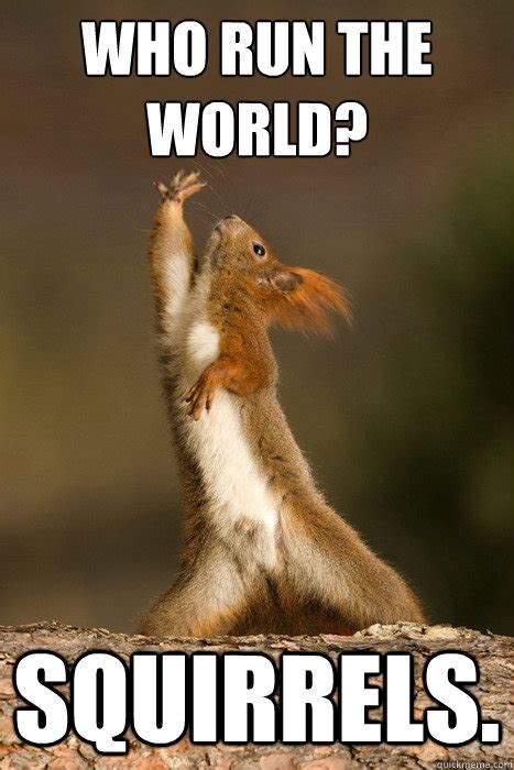 Who Run The World Squirrels Who Run The World Squirrels Quickmeme