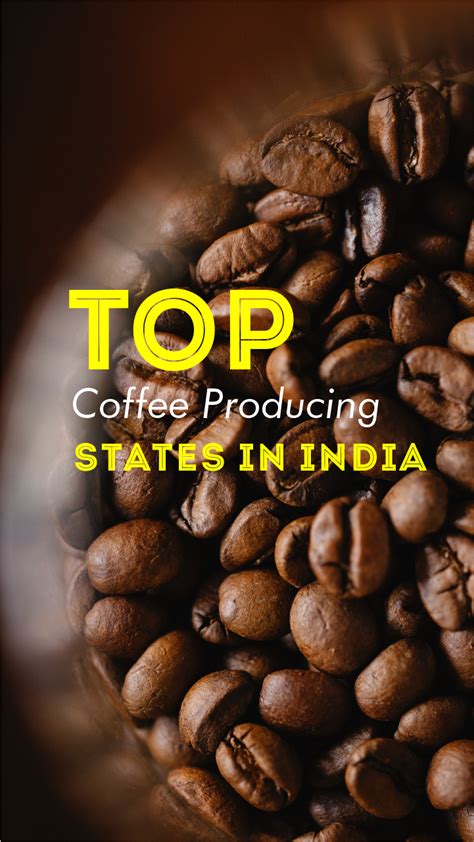 Top 7 Coffee Producing States In India