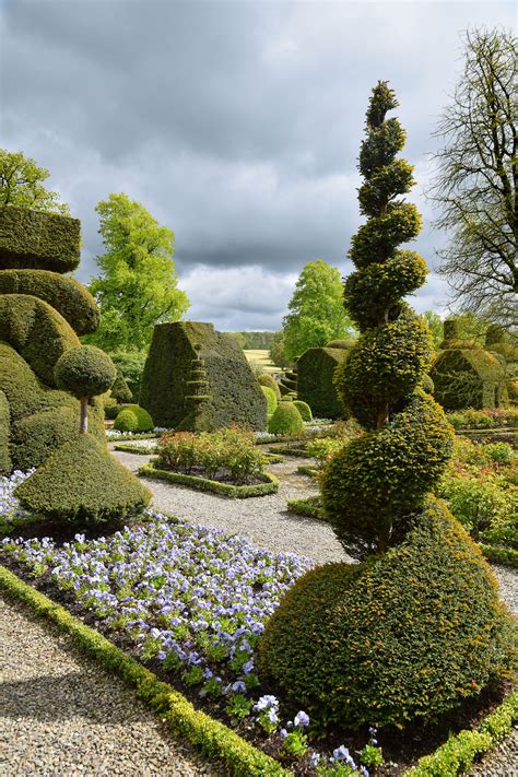 Topiary At Levens Hall Gardens Cumbria England Photo H Travis