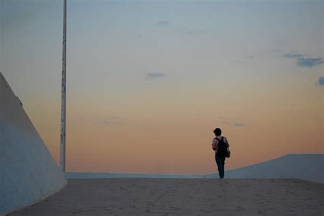 Back View Photo Of Person Standing Alone During Golden Hour · Free
