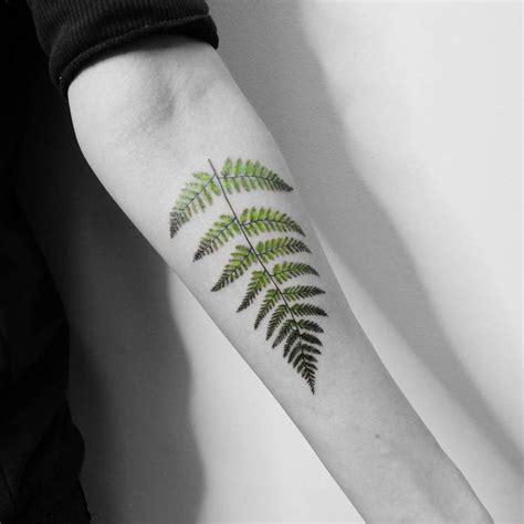 53 Gorgeous Fern Tattoo Designs And Ideas Page 4 Of 5 Tattoobloq