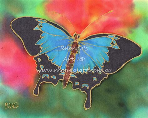 Ulysses Butterfly — Rhondas Art