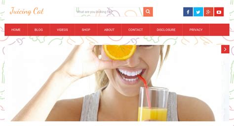 — website listed on flippa beautiful juicing niche site over 400 videos and 30