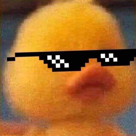 Ducky In Pfp Funny Aesthetic Funny Profile Pictures Cool Pfps