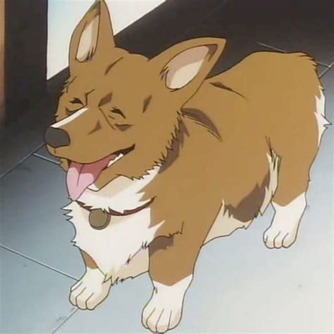Top 50 Best Anime Dogs Most Popular Of All Time Shutocon
