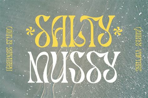 Salty Mussy Font Youworkforthem