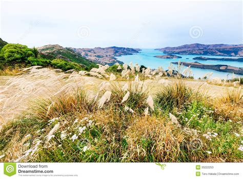 View To Turquoise Mountain Lake From A Grassy Hill In New