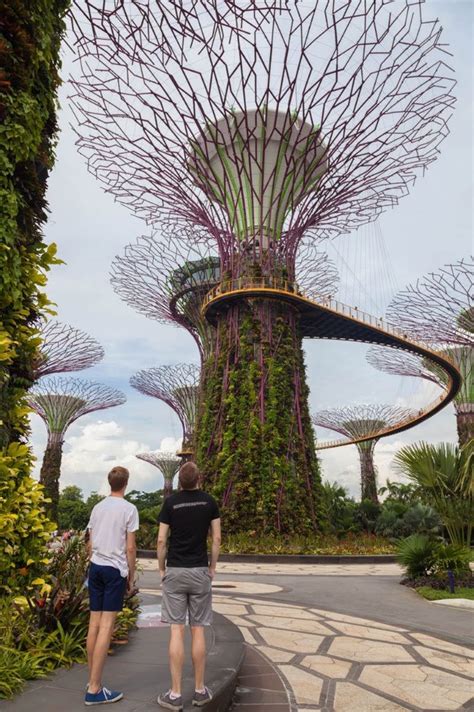 Completed In 2012 Gardens By The Bay In Singapore Consist Of Several