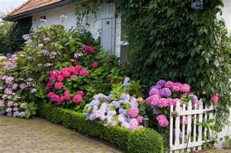 104 Best Images About Cottage Shade Gardens On Pinterest