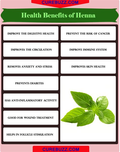 10 Health Benefits Of Henna Curebuzz