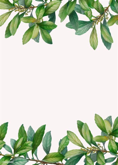 Tropical Botanical Leaves Background Illustration Premium Image By
