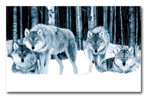Wolf Pack In Snow Forest A4 Canvas Art Print 8 X 12 Poster Canvas
