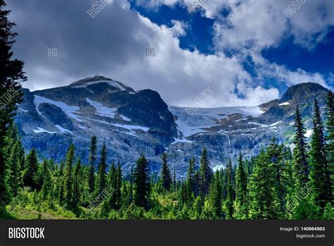 Green Forest Snow Image And Photo Free Trial Bigstock
