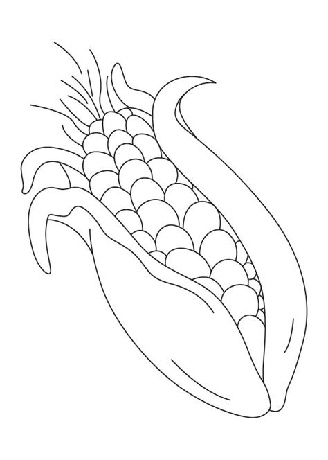 Sweet Corn Drawing At Explore Collection Of Sweet