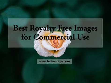 Best Royalty Free Images For Commercial Use Websites For Stockimages